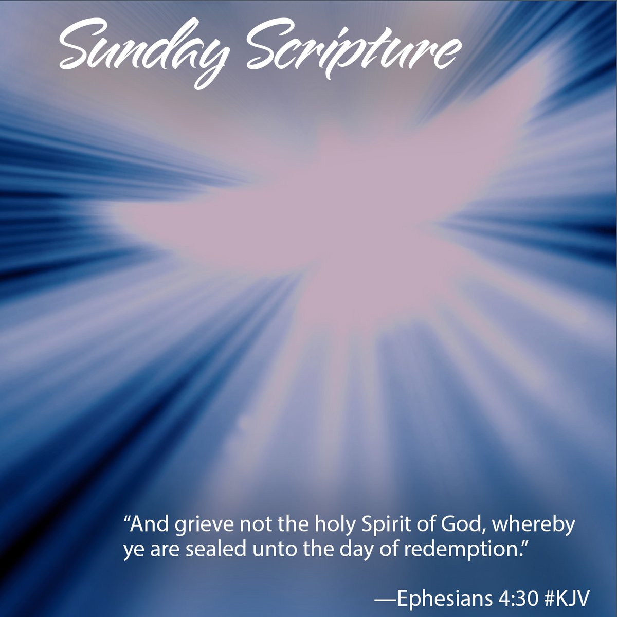 “And grieve not the holy Spirit of God, whereby ye are sealed unto the day of redemption.”

—Ephesians 4:30 (KJV)

#SundayScripture #KJV