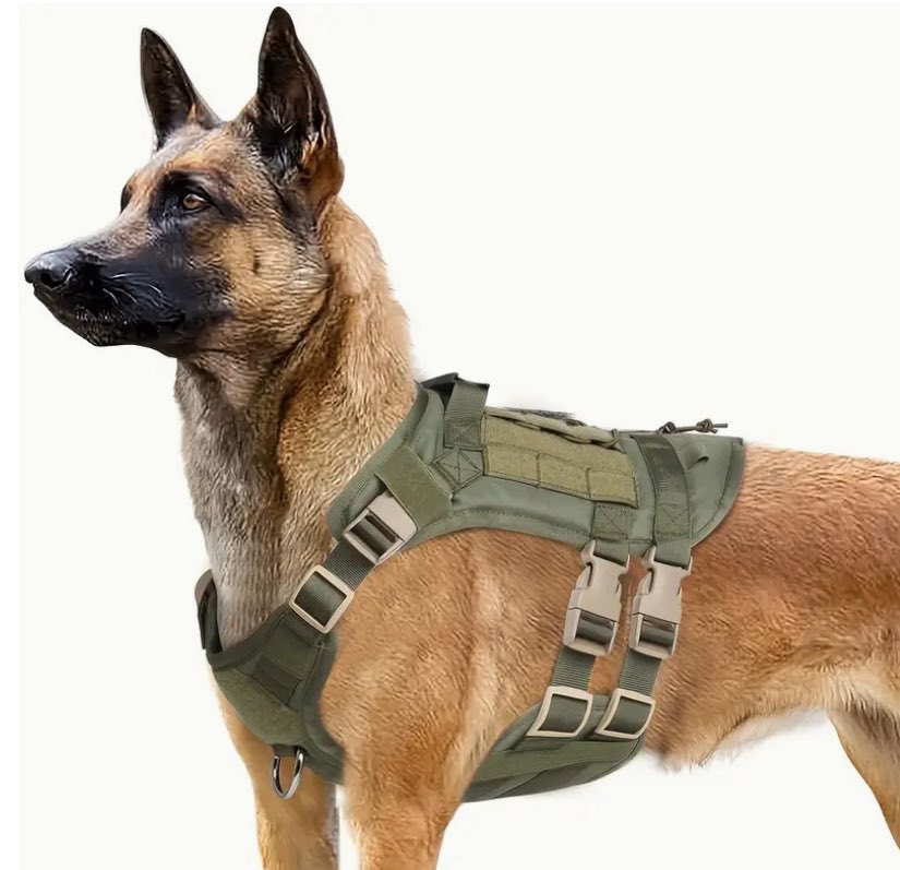 كلاب المقاومة
تختلف عن كلاب الحراسة..

بعيداً عن السياسة والحروب،
أهمل العرب كلابهم الوديعة القديمة وتركوها جائعة وبلا تدريب وتأديب فتحولت إلى كائنات شرسة ومسعورة تهدد حياة اطفالهم وصحة بيئتهم في المدن والضواحي!...

والعربي، أكثر من أرتبط بالكلاب، واستخدمها لأغراض ومهام مختلفة،