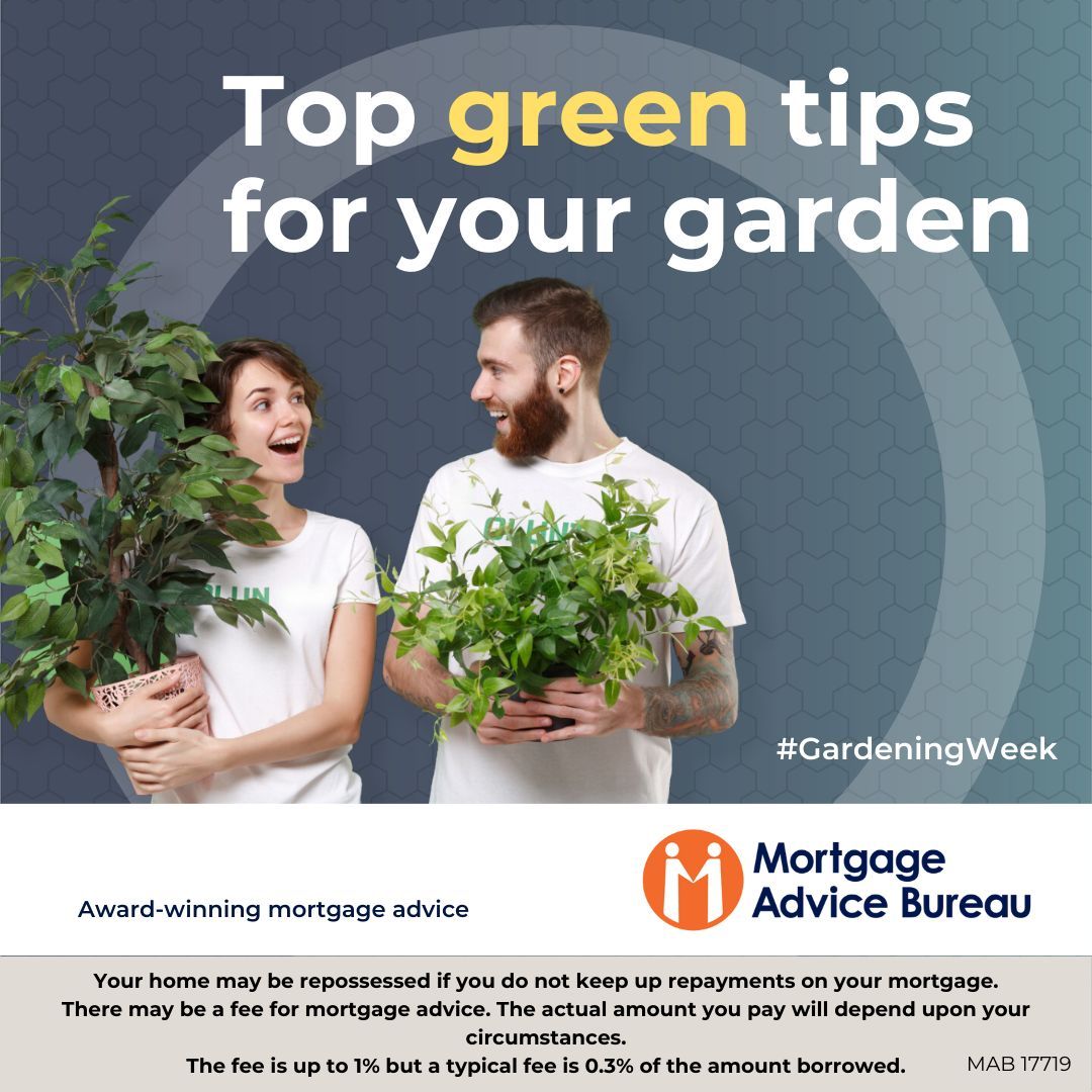 It's the final day of Gardening Week!
Check out our latest article to explore various ways to make your garden greener, promote biodiversity, and conserve resources - buff.ly/4aS6oSd 

#GardeningWeek #GardenTips #Gardening #Environment #MortgageAdviceBureau #mortgagehelp