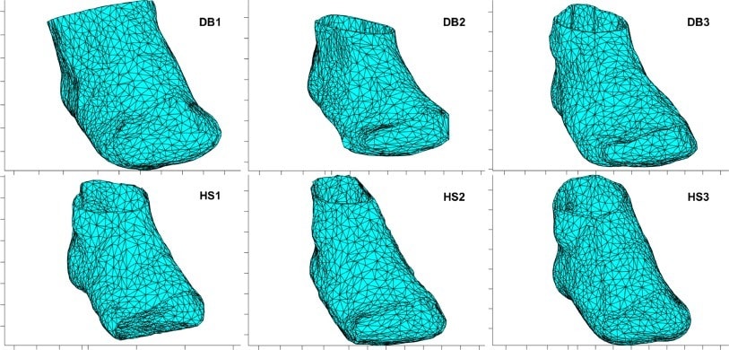 Can we finally make a working “virtual foot” model for biomechanical research?  diabeticfootonline.com/2016/04/12/can…