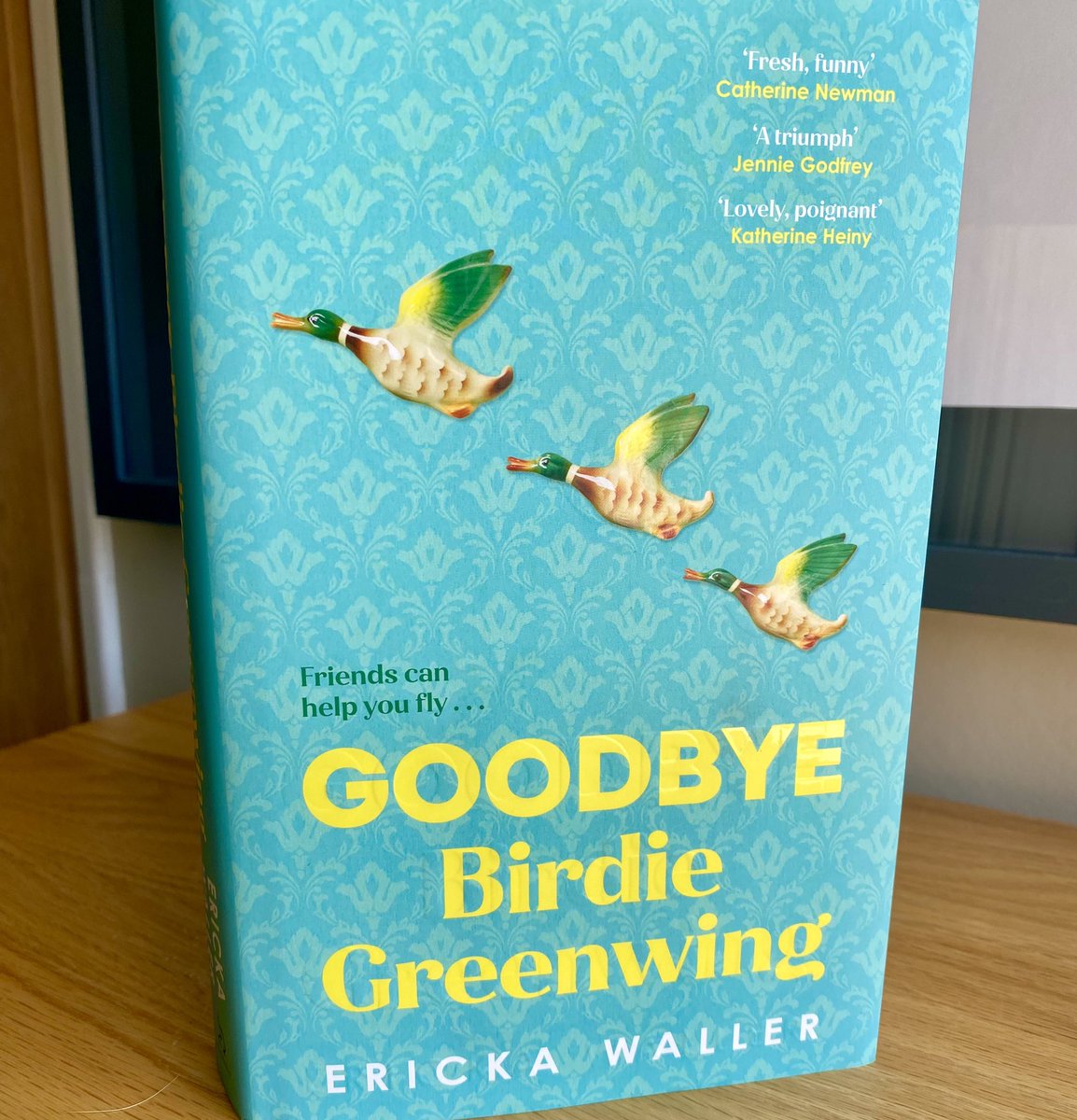 I’ve just finished #GoodbyeBirdieGreenwing by @ErickaWaller1 (not a children’s book BTW) - it is WONDERFUL! If you want to feel uplifted by the power of human kindness, snigger at daft smut, be reassured we all have our secret hang ups, this is for you! I give it ⭐️⭐️⭐️⭐️⭐️💧’s