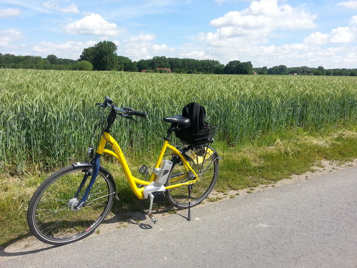 Discover a cheap, sustainable and fun way to travel in Luton with an e-cycle with The #MakingCyclingEasier scheme! 🚴 Book your free e-cycle loan 👉 linktr.ee/cyclinguk Find out more 👉 cyclinguk.org/making-cycling… @WeAreCyclingUK