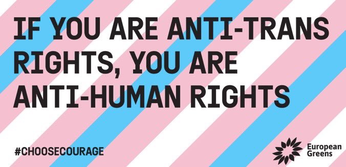 La transphobie meurtrit, la transphobie maltraite, la transphobie met nos enfants en danger, la transphobie tue. Pour toutes les personnes trans, pour les droits humains. Soyons en nombre aujourd’hui à dire non à la haine, oui à la liberté, oui à l’égalité. Rdv 14h à Paris.