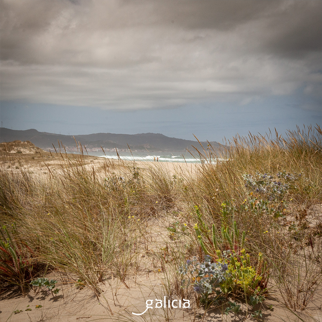 🌊 La Costa da Morte es perfecta para hacer una escapada de unos días a #Galicia Su escarpada costa permite recorrer cabos, acercarse a santuarios, relajarse en sus playas o disfrutar de su magnífica gastronomía. ¿Te imaginas un plan mejor? 🔗 turismo.gal/que-facer/ruta…