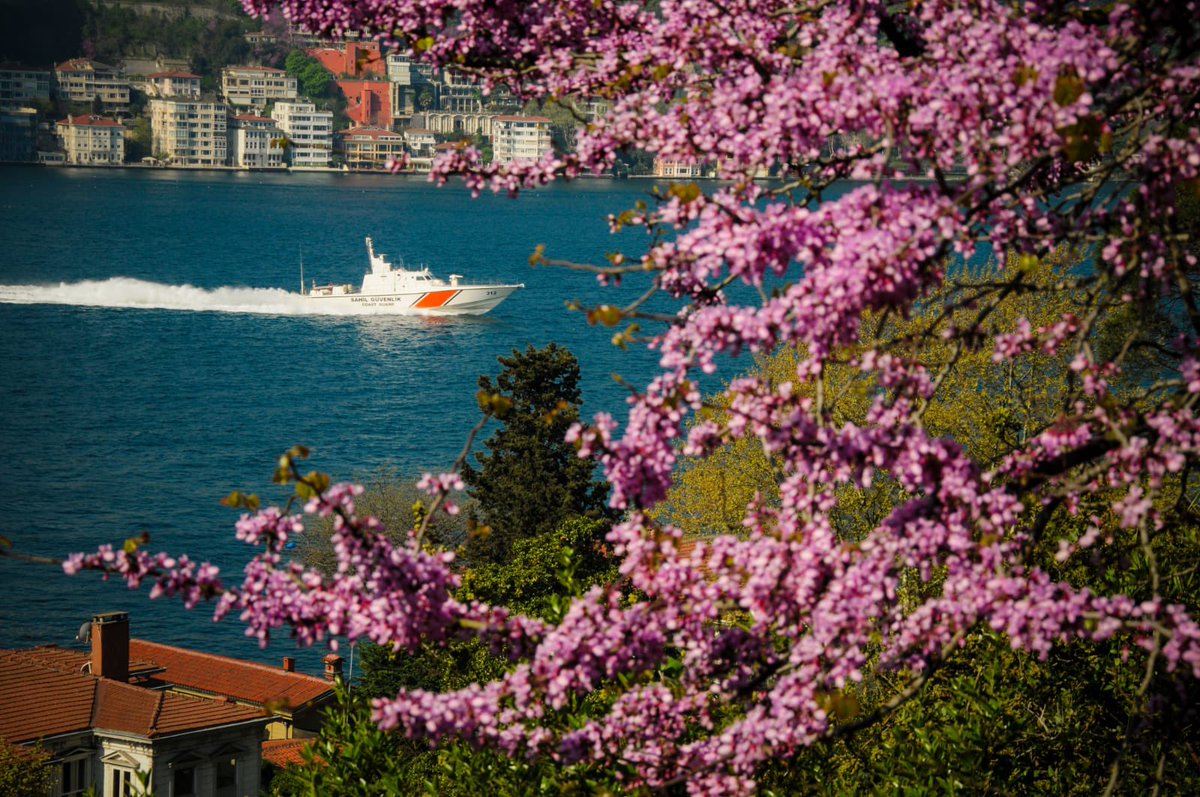 Baharın habercisi, bolluğun ve bereketin simgesi #Hıdırellez kutlu olsun. Evlerimiz, yüreklerimiz bahar neşesiyle dolsun. Mutlu pazarlar.