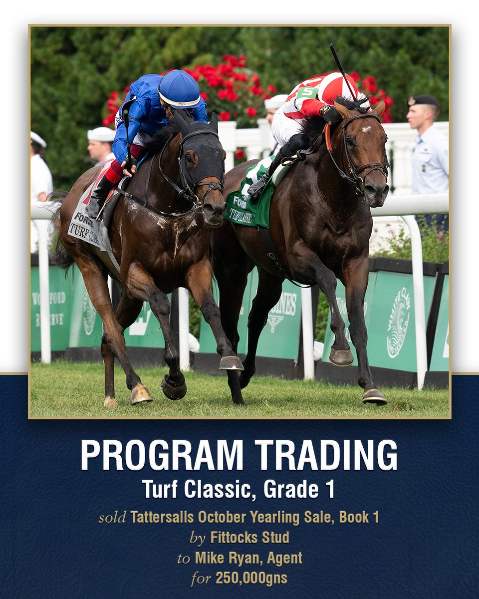 🏆 Gr.1 Turf Classic 🏆 Gr.1 Hollywood Derby 🏆 Gr.1 Saratoga Derby 🇺🇸 250,000gns buy Program Trading is yet another star to come from Book 1 of the #TattsOctober Yearling Sale for Chad Brown & Klaravich Stables with five wins from six starts including three Grade 1s.