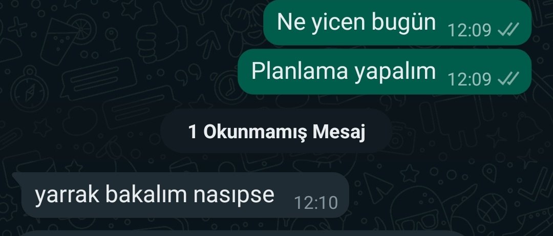 Profesyonel çalışıyoruz online diyet için dm