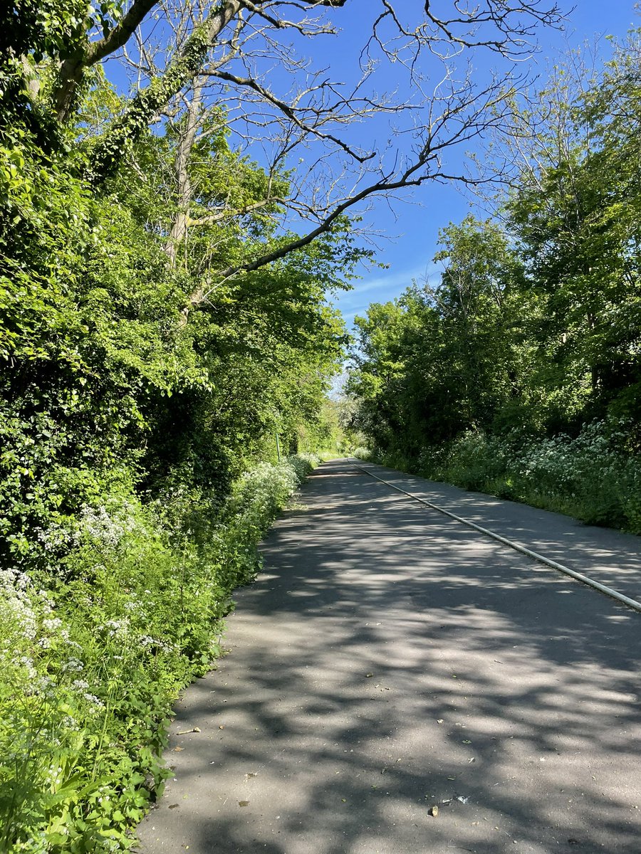 Out on the bike this morning 🚴‍♀️☀️🕶️