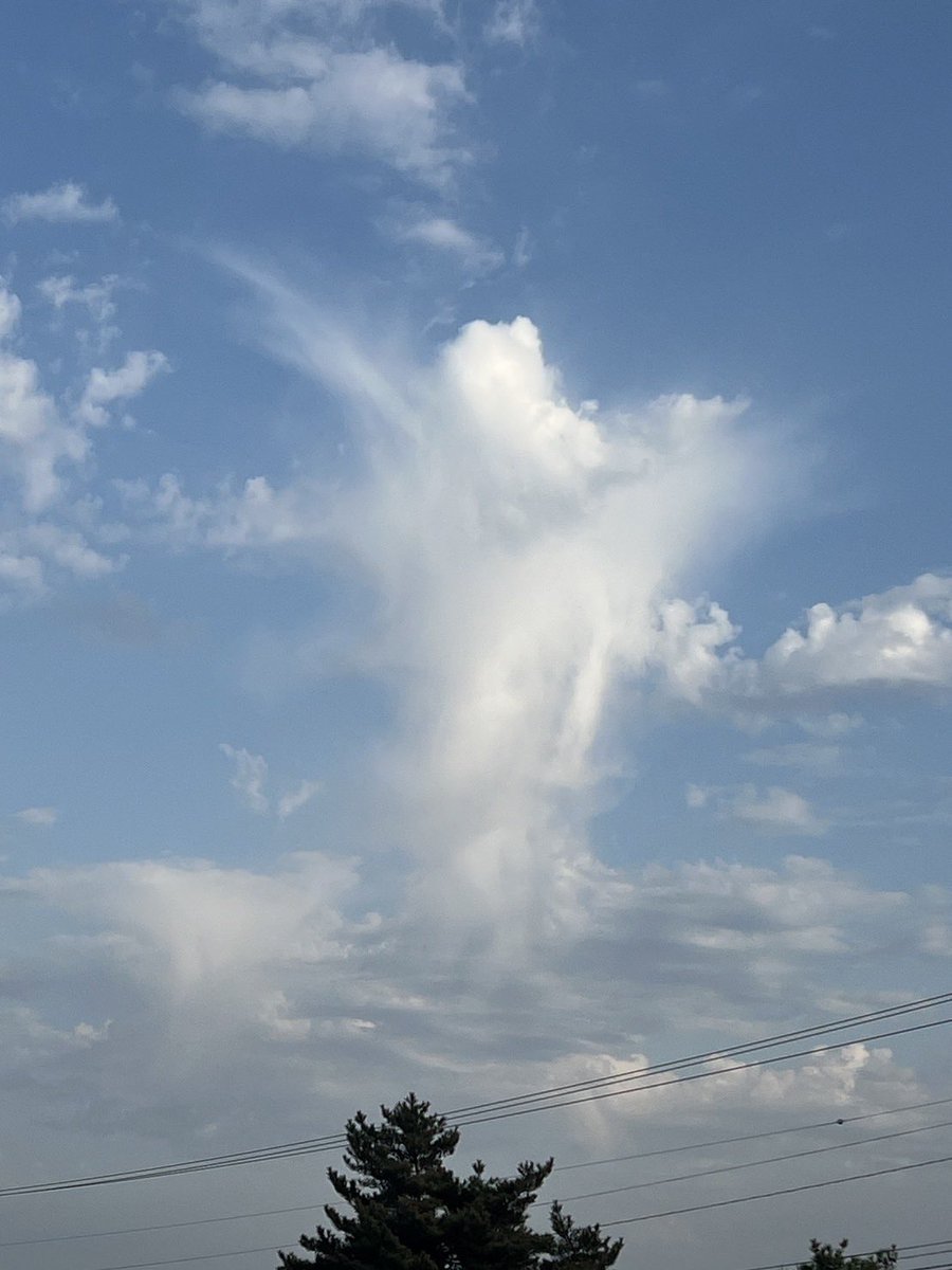 立ち昇る雲のデカルチャ〜🎵 ロールシャッハテストのようなその姿に、皆さんは何を観ますか？
