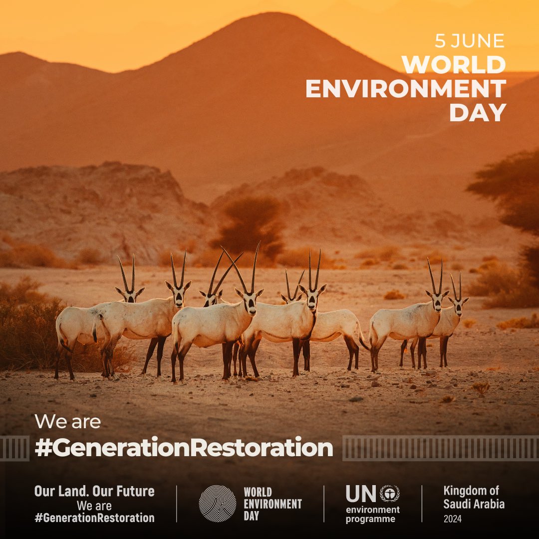 1 month to go!

Get ready for this year’s #WorldEnvironmentDay!

Join #GenerationRestoration and millions around the globe to take action to restore our land & soil.

Here’s how you can get involved: worldenvironmentday.global