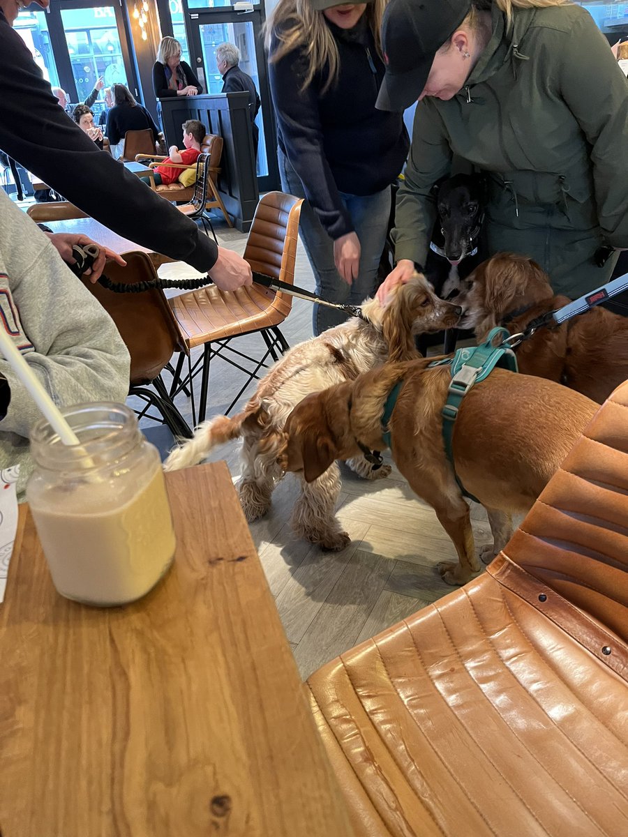 In a lovely dog friendly cafe. 
Coffilab.