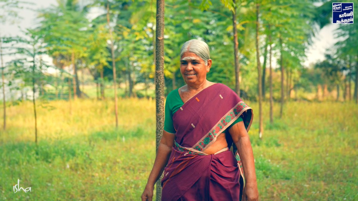 For Kannamma, a single mother, trees became a path to security enabled by Cauvery Calling. Dive into her journey of achieving financial stability through tree-based agriculture, reaping both economic and environmental rewards. Read more: consciousplanet.org/en/cauvery-cal…