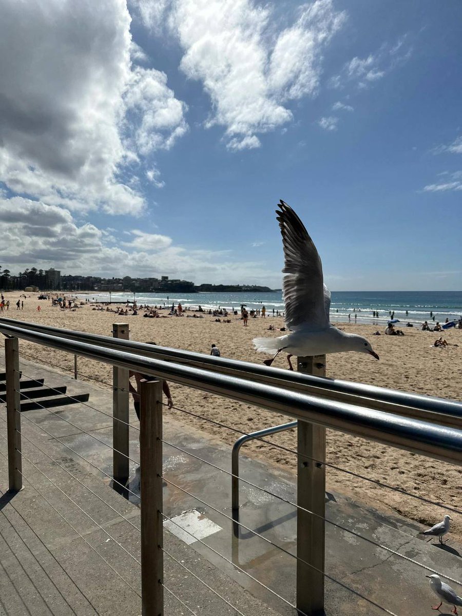 011Flopy's tweet image. "Every bird, every tree, every flower reminds me how blessed and privileged it is to just be alive."