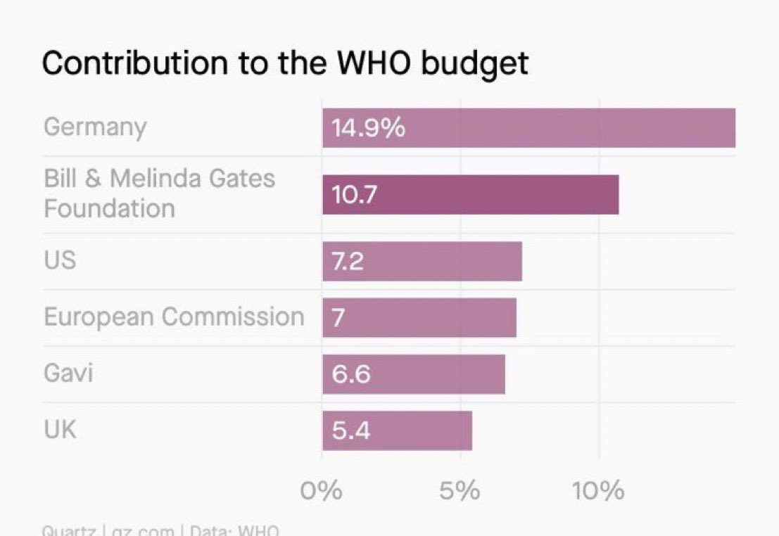 The Bill & Melinda Gates Foundation is responsible for over 88% of the total amount donated by philanthropic foundations to the World Health Organisation (WHO) and is the second largest contributor overall behind Germany.