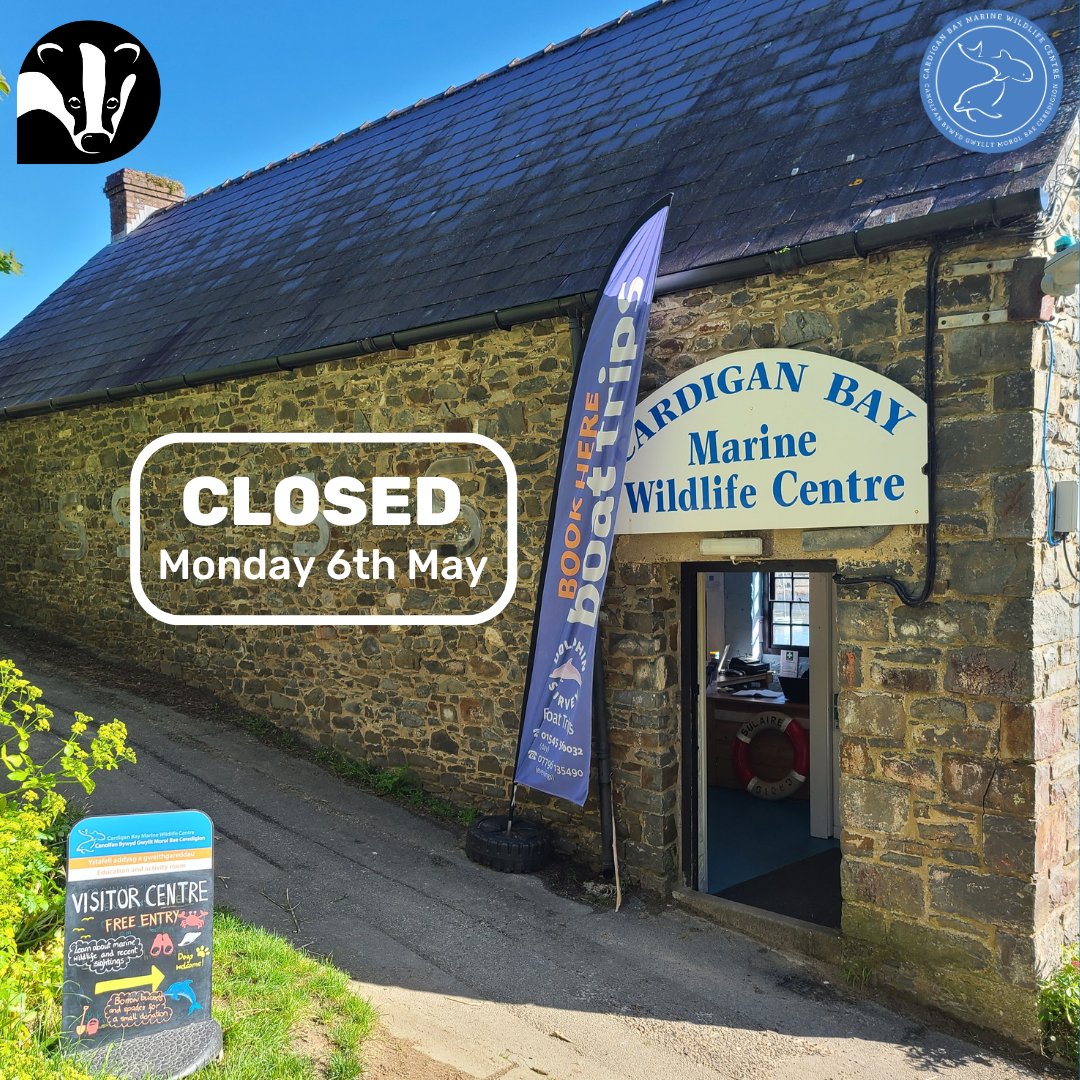 Unfortunately our Visitor Centre will be closed tomorrow, Monday 6th May 🗓️

We will be back open as normal on Tuesday, so please come along to learn about our research, Cardigan Bay's marine wildlife and support our vital #MarineConservation work 🐬

@WTWales @WTSWW