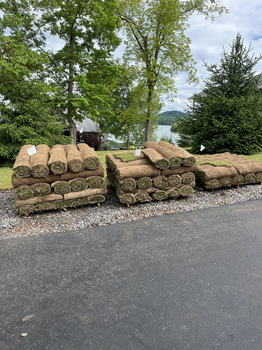 7:30am single tee, hole 3 and carts are 90° except for holes 4, 6, and 7 (CPO). Avoid driving over brown. Thank you to Gene Hammer, Rich Gettings, and the Beautification Committee for their help. ‘TifTuf’ Bermuda going down on select tees this morning. Going to be a great day!