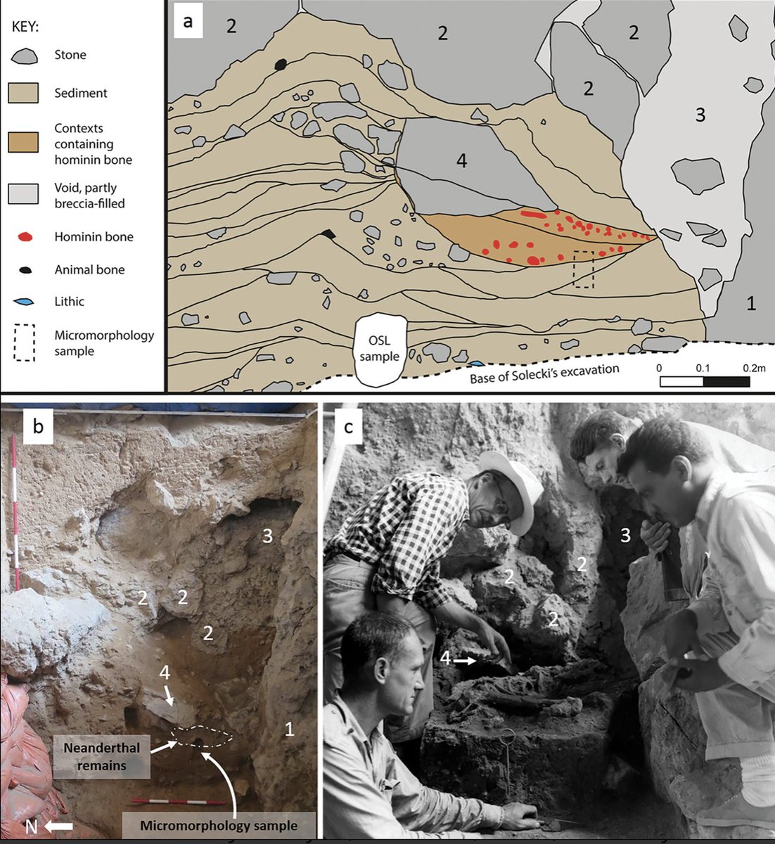 One of the great things about watching the #Netflix film on #Shanidar is that one has confidence that the team is doing good #science - such as documented in the @AntiquityJ article by @_dEmBones and team. cambridge.org/core/journals/…