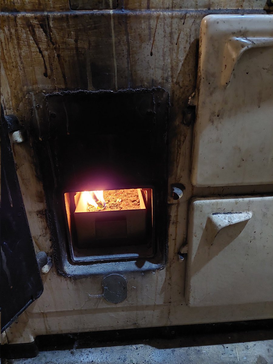 First lighting of the woodstove for the year, after 6 months dormant. Fired up first time like a charm with no backdraft. 

I don't like it. The stove is up to something...