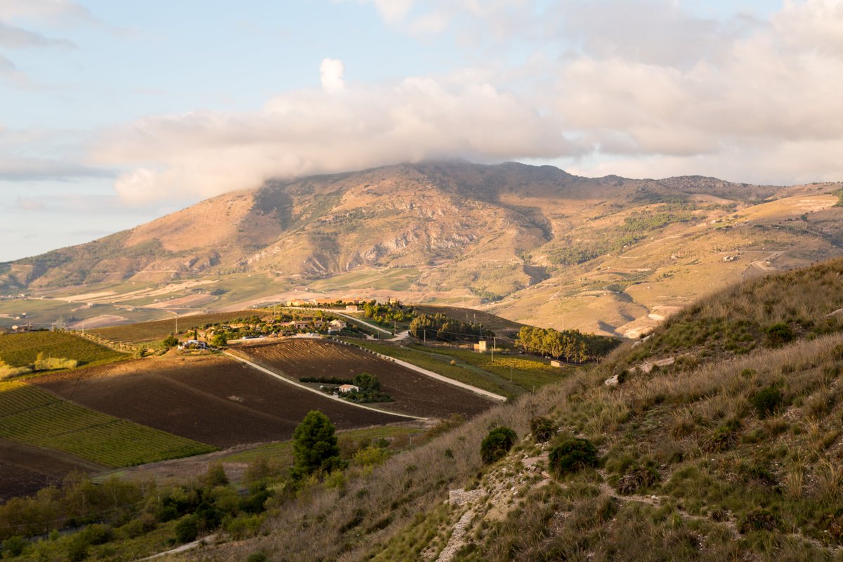 Late afternoon sun at Segesta, Sicily. #Sicily #Sicilia #Italy #Italia #landscape #landscapephotography #travel #travelphotography #photo #photography #photooftheday