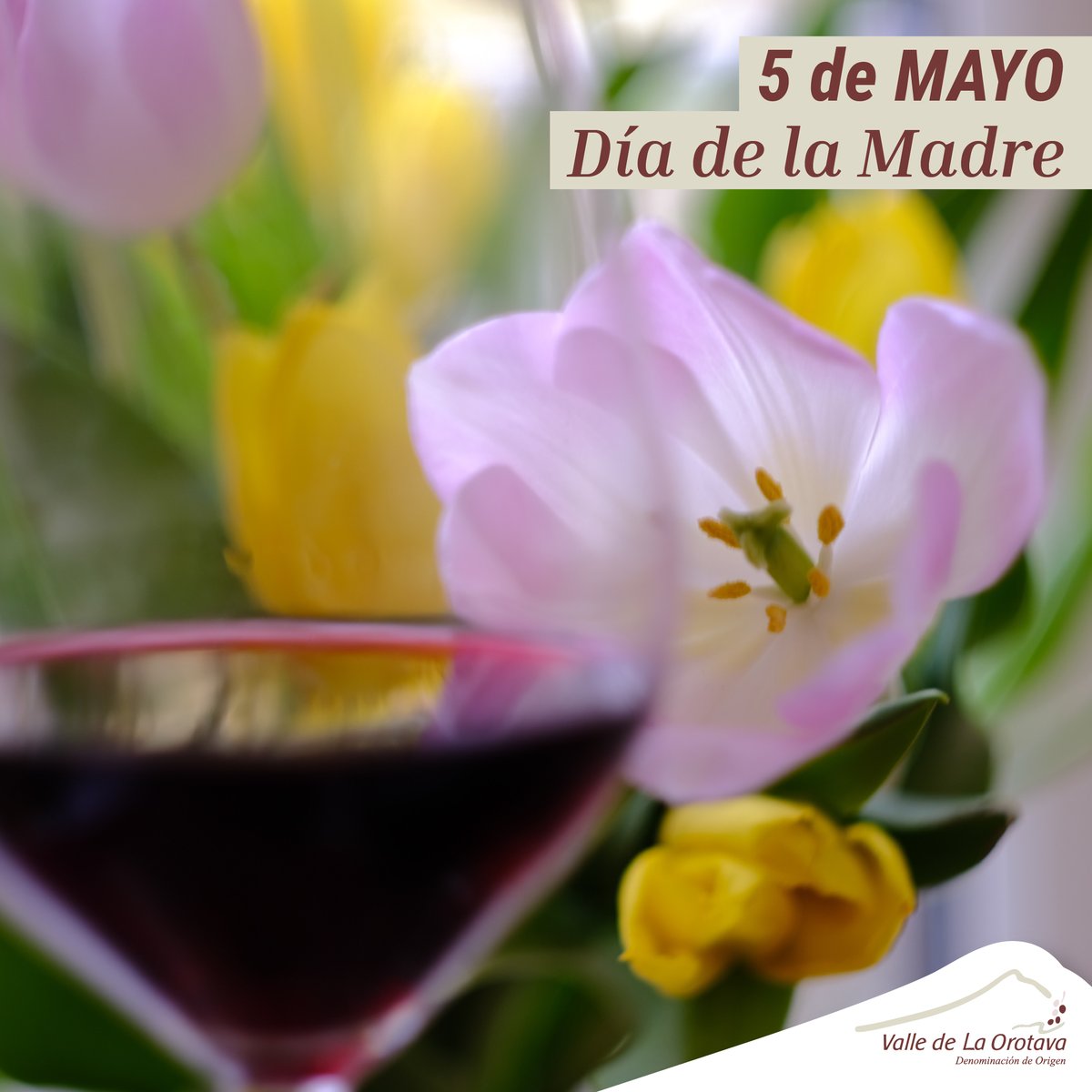 Desde la Denominación de Origen Valle de La Orotava queremos felicitar a todas las madres 😍 A celebrarlo brindando con vinos del Valle de La Orotava 🥂 ¡Feliz Día! ❤️ #VinosValleOrotava #TradicionalmenteUnica #CordonTrenzado #DíaDeLaMadre #FelizDia