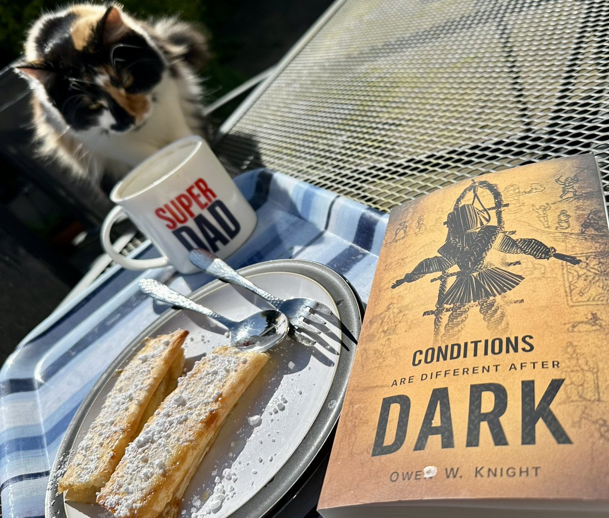 Am much enjoying a lazy Sunday with home made # gluten free banana strudels, good coffee, sunshine, a curious kitty and a great book from @OwenKnightUK - review soon!