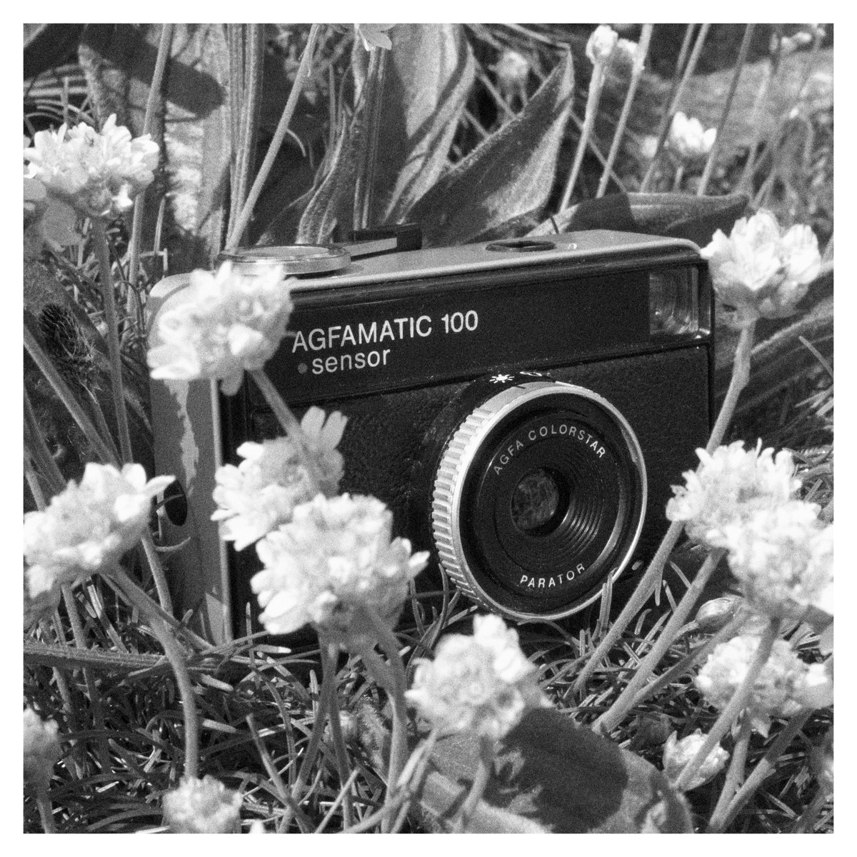 126 Creative
Agfamatic Sensor 100 
#bnw #bnwphotography #blackandwhite #blackandwhitephotography #monochrome #126film #vintage #lomography #filmcamera #126camera #agfacamera
