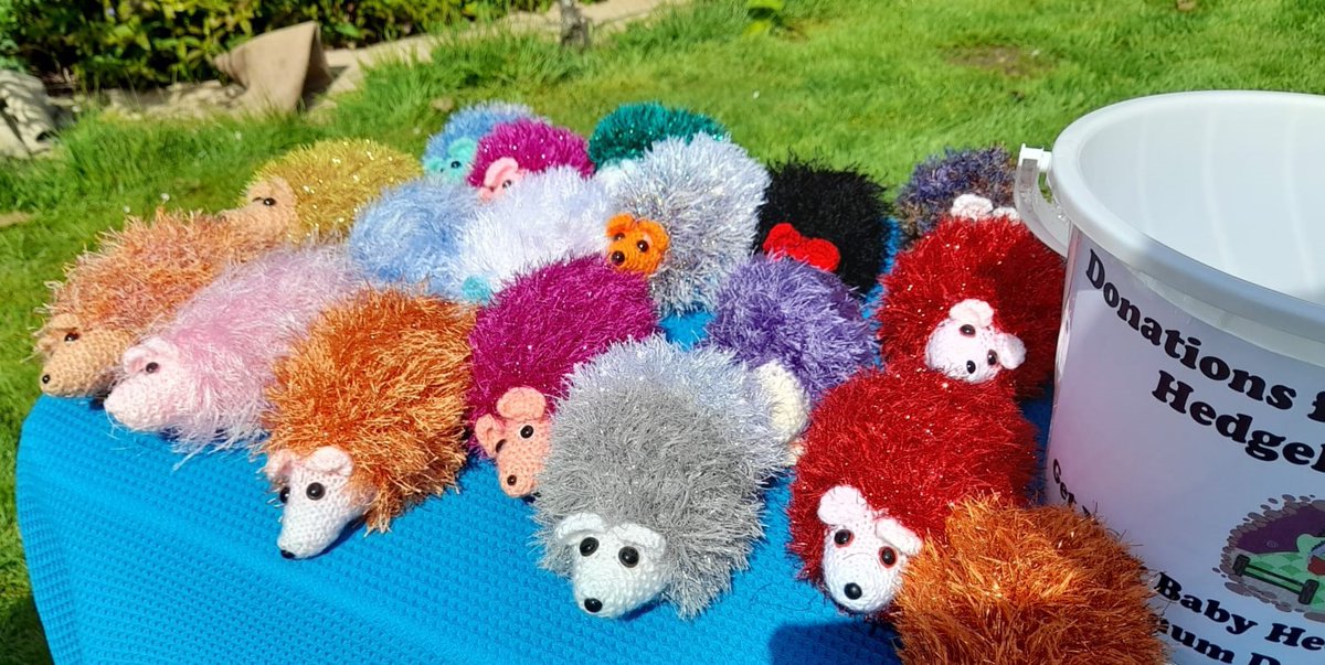 A huge thanks to everyone who came along to my #BabyHedgehog album launch yesterday, and for making it such a special occasion. £82 raised for Sheringham Hedgehog Hotel which will go a long way towards the costs of caring for the hedgehogs. 
#hedgehogweek #hedgehogaware