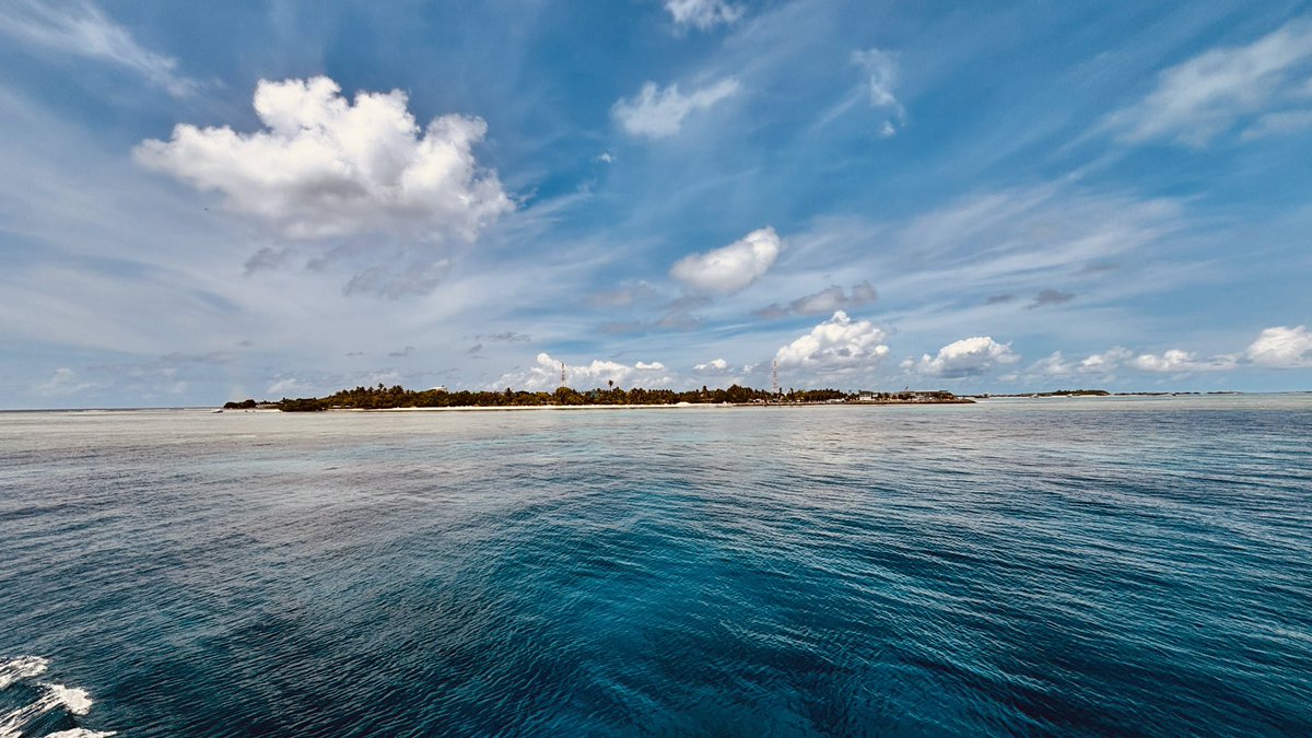 Yilmaz Erman tweet media