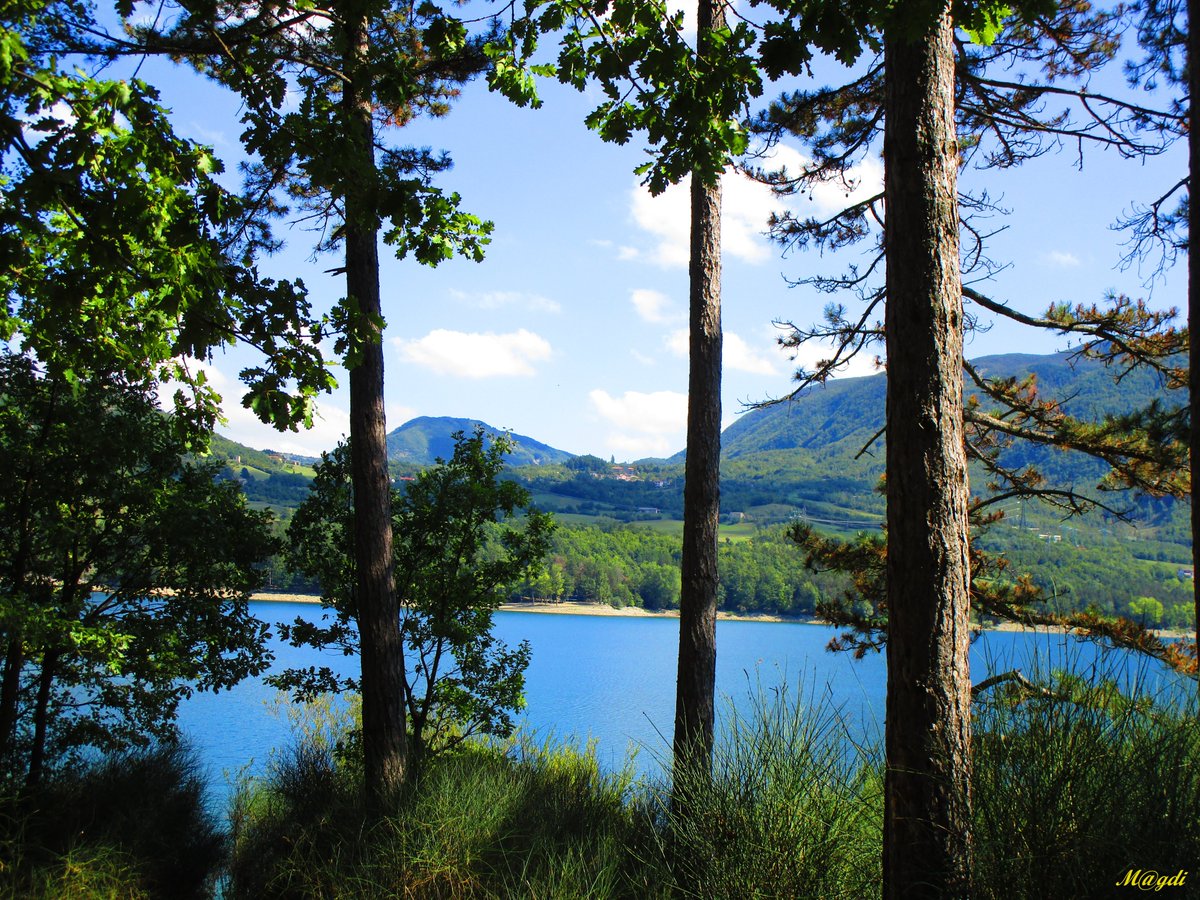 Parco regionale dei laghi Suviana e Brasimone.

#UnRifugioNelVerde #VentagliDiParole #NaturePhotography