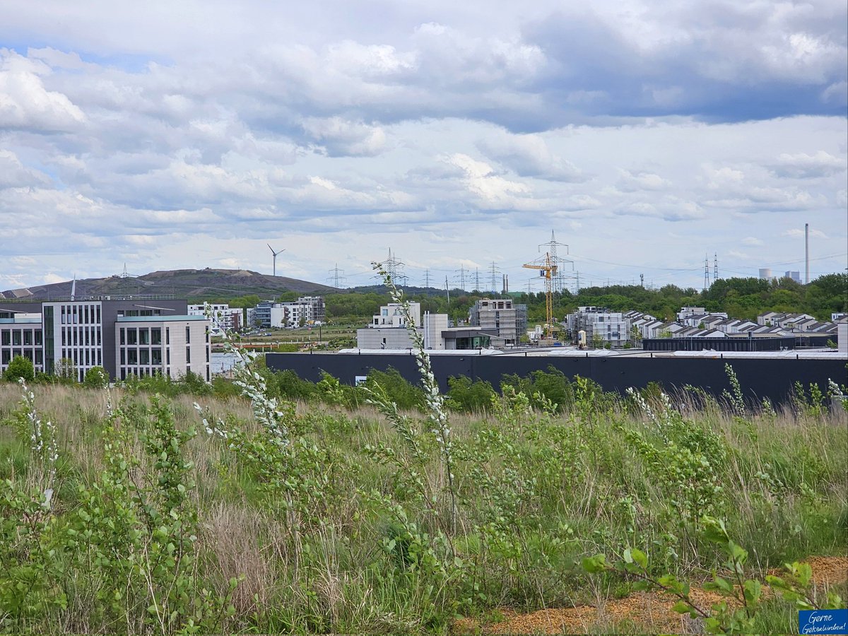 Schönen Sonntag, #Gelsenkirchen! Direkt neben dem Hafen Graf Bismarck ist ein schönes kleines Gebiet mit toller Aussicht entstanden. Vor allem ist es hier schön ruhig. Nur Bänke fehlen ein bisschen. Hoffentlich kommen die noch. Wir haben es uns auf den Steinen gemütlich gemacht.