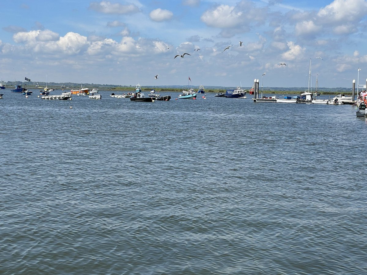 Hello West Mersea. Not a bad day for a little boat trip.