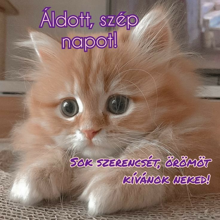 További kellemes időtöltést #TwitterFriends 🙋‍♀️