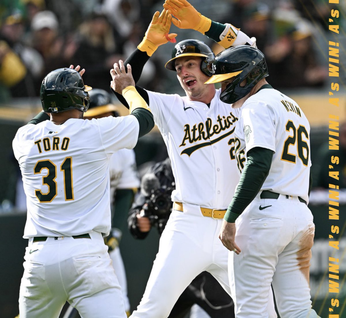 Cover Photo of the Day: @MLB - Courtesy of the @Athletics #Athletics #Oakland #MLB #Baseball #BFOA