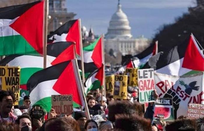 What's the point of a meeting of 57 Muslim countries that doesn't make a single Zionist in ISRAHEL or WASHINGTON worried & tense? The movements of American university students are much better & more beneficial for Palestine than OIC's meetings, whose most achievements is to say…