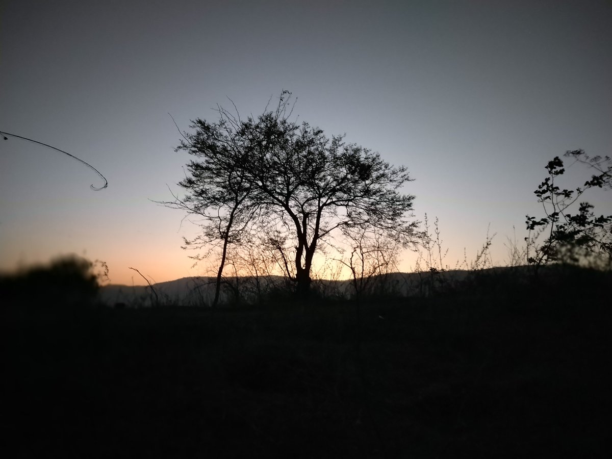 @VetalTekdi Our hills are beautiful 🥰. A click from Hinjawadi-Maan Hill