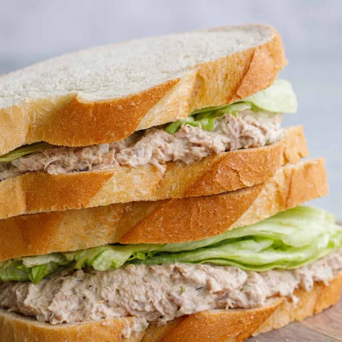 Tuna Sandwich… Yes or No? 🤔