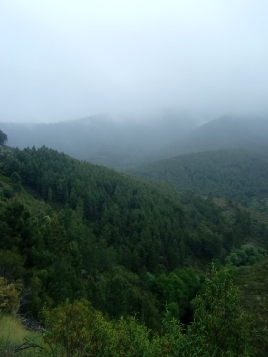 Otoño eterno⛰️