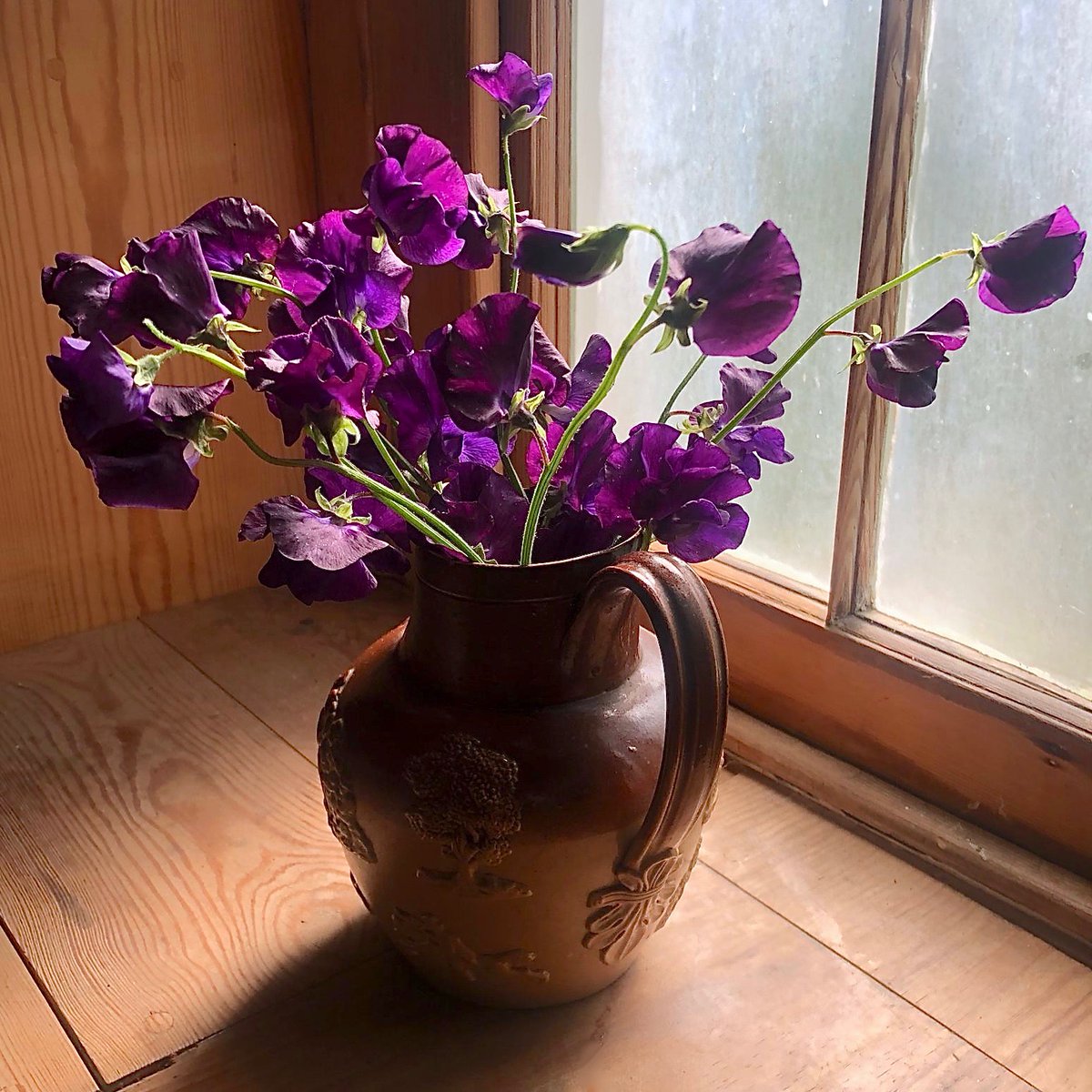 Sweetpeas from Columbia Road Market this morning