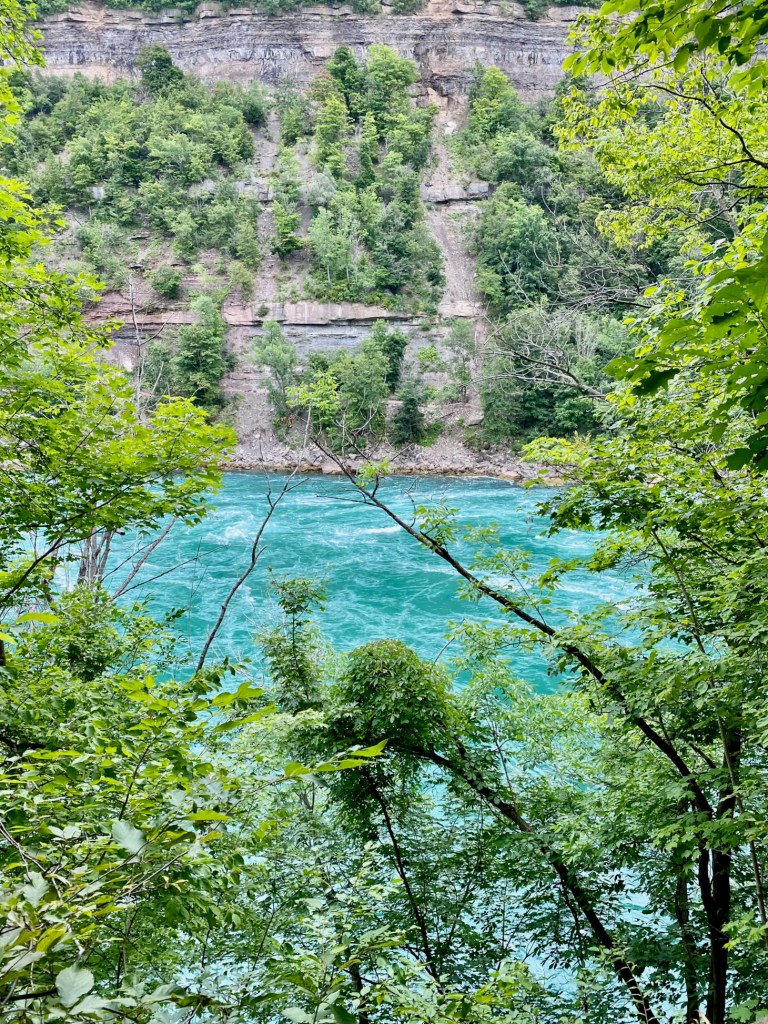 Beautiful #river and trees