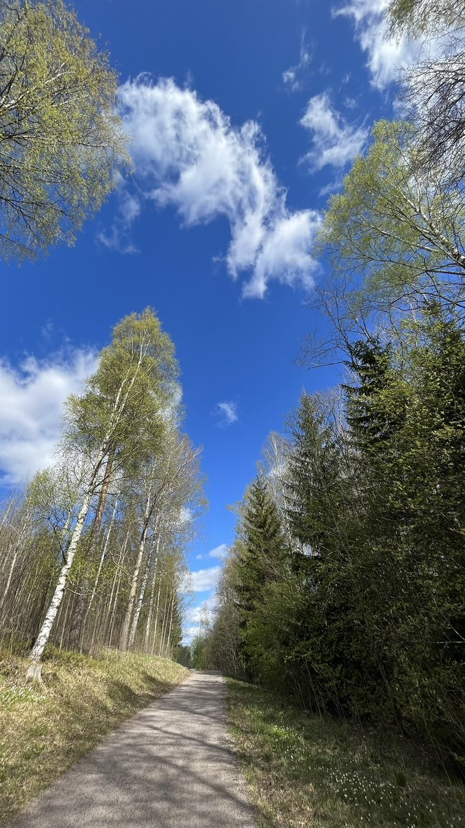 The weather is doing its springish things - pure bliss #thisisfinland #april #weather #sää #väder #landscapephotography #photography #outdoors #sky #bluesky #running #thePhotoHour #StormHour #channel169 #春 #봄 #Landschaft #nature #luonto