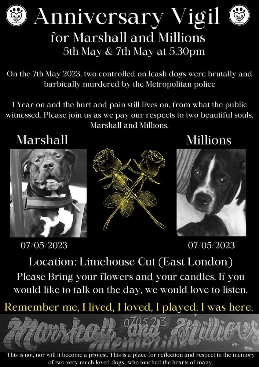 1pm today, 5th May

Remember me. I lived. I loved. I played. I was here.
Gone but never forgotten 💙💙
#justiceformarshallandmillions