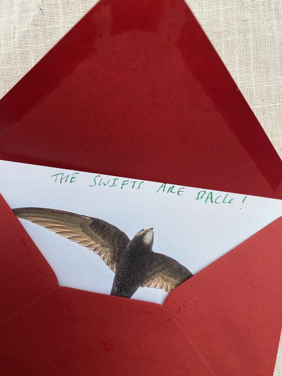 Tell our Prime Minister how furious you are he is blocking our swift brick proposal ✍️ Rishi Sunak, PM, 10 Downing St, London SW1A2AA📮📝 *without swift bricks there’s no guaranteed nesting habitat for swifts anywhere in the UK and never will be*