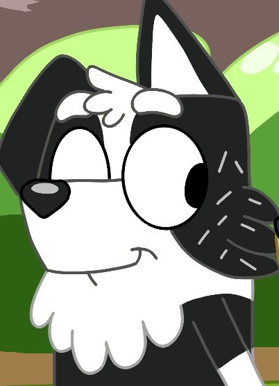 Snowy heeler tweet media