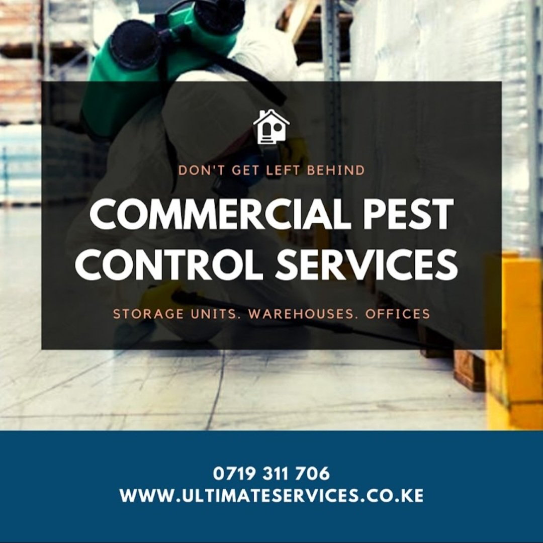 Your warehouses and storage spaces need to be free of pests, and we make sure of that.
Pest free living starts here!
📞0719 311706 
#cyloneHidaya #uhurukenyatta #ImaraDaima #Tanzania #RigathiGachagua #Railaodinga #healthyliving #pestcontrol