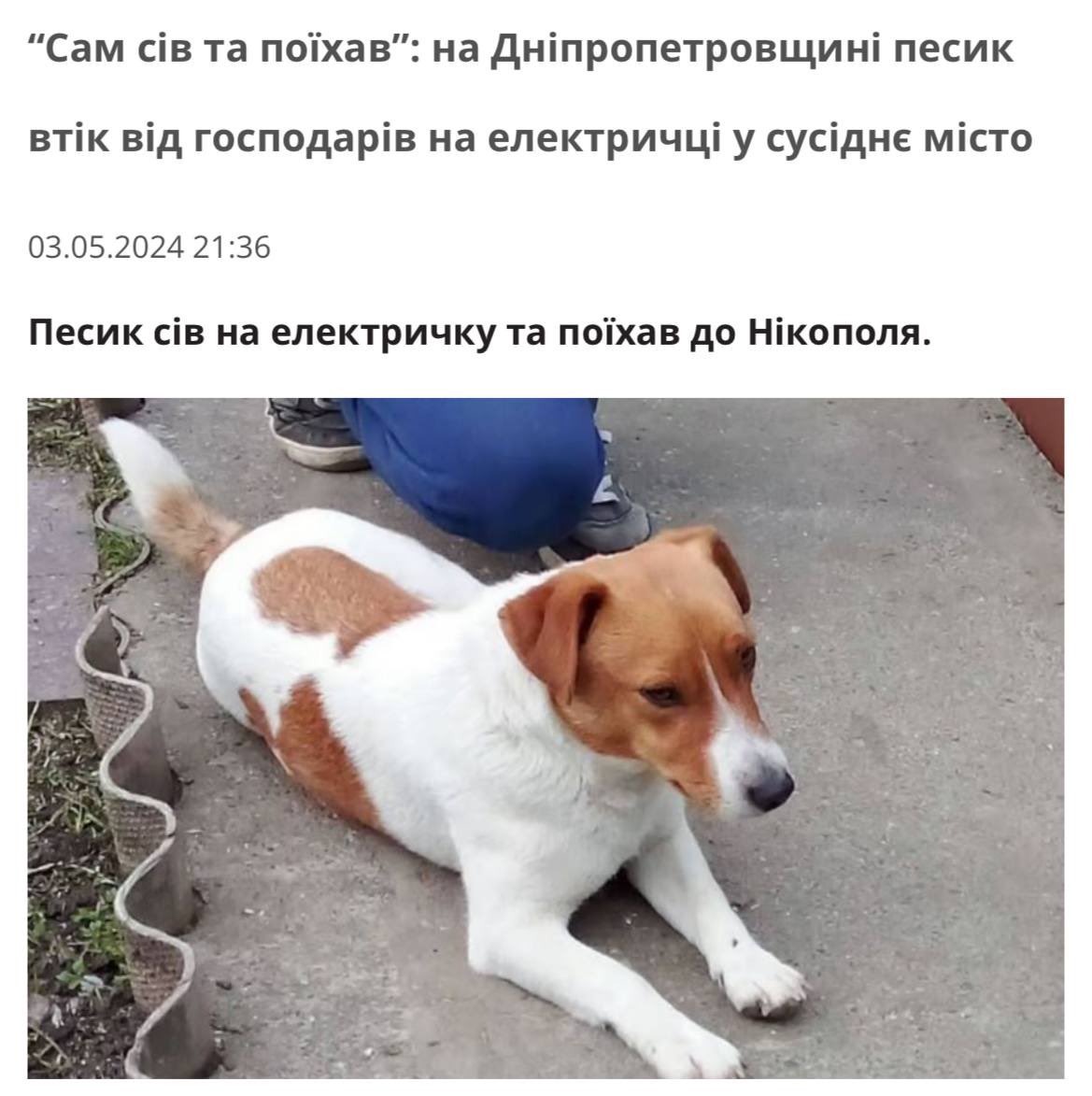 Регіоналіті tweet media