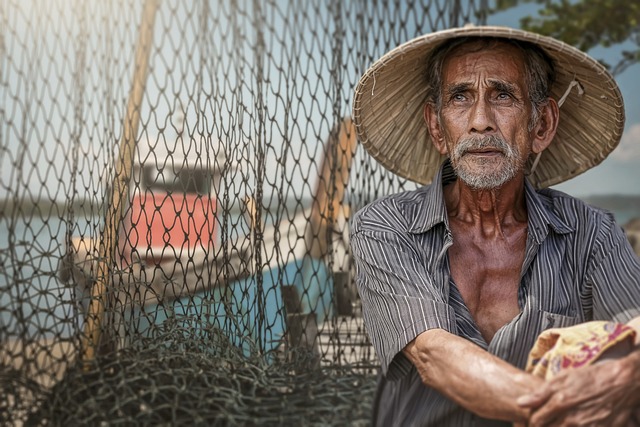 Kübalı Balıkçının Merlin Balığı İle İmtihanı: Yaşlı Adam Ve Deniz
haberlotus.com/kubali-balikci…
#anlatısanatı #dünyayazarları #ErnestHemingway #nobeledebiyatödülü #pulitzerödülü