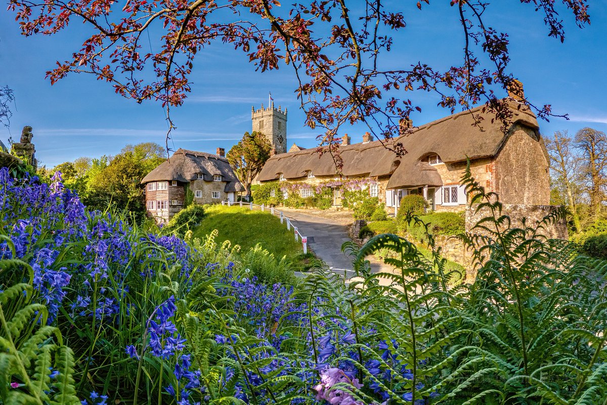 Bluebells + Pretty Villages = A Match Made in Heaven 🌿😍

We'll never tire of this view of Godshill. Retweet if you love this photo as much as we do.🤩

📌 @islandvisions

#IOW #IsleofWight #LoveGreatBritain #UNESCO #AONB #IsleofWightNL #Coast2024