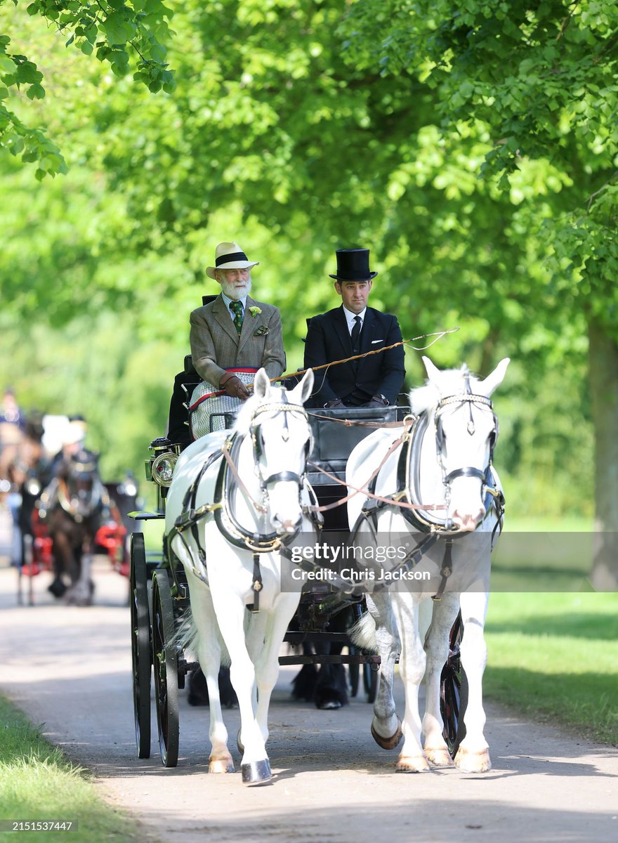 Prince Michael of Kent takes part in the carriage driving event at the Royal Windsor Horse Show