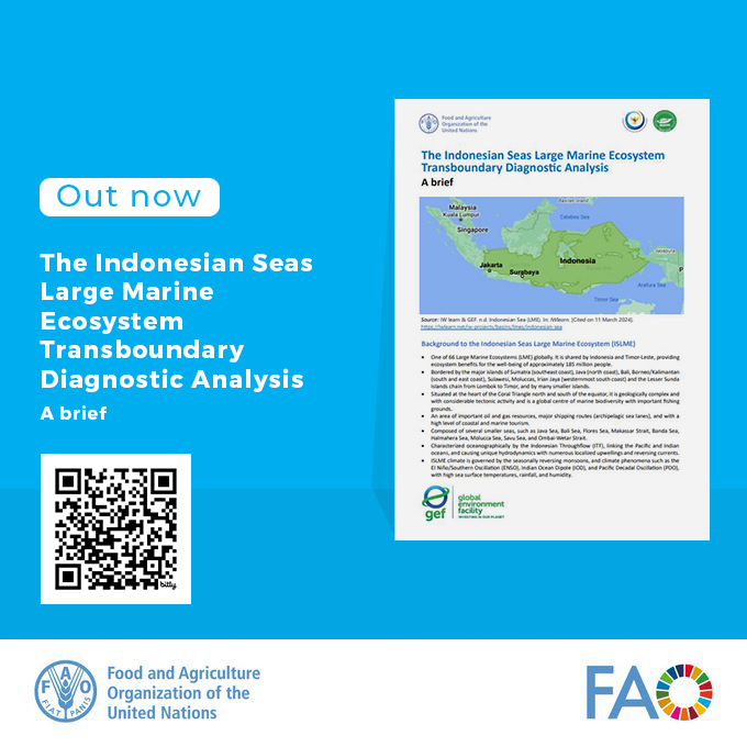 🇲🇨 & 🇹🇱 w/ @FAO support, identified 5 threats to sustainability of 🌊🐬🐋🪸marine-fisheries resources in Indonesian seas region to inform 🎯policies. Learn more about the scientific findings of Transboundary Diagnostic Analysis 👉bit.ly/ISLME-TDABrief. @KKPgoid @theGEF