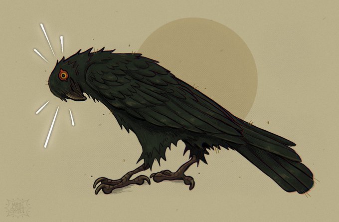 「bird feathers」 illustration images(Latest)